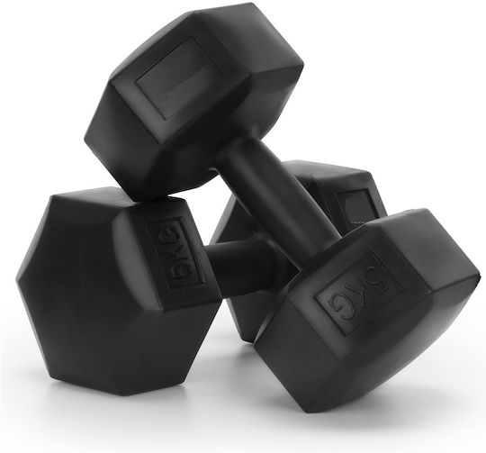 Hexagon Dumbbell 1 x 5kg