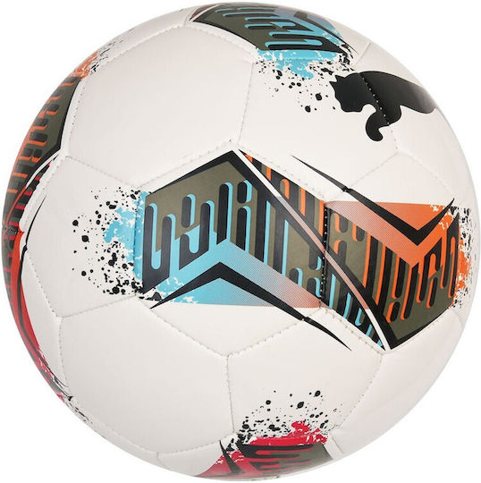 PUMA Futsal Fußball Weiß