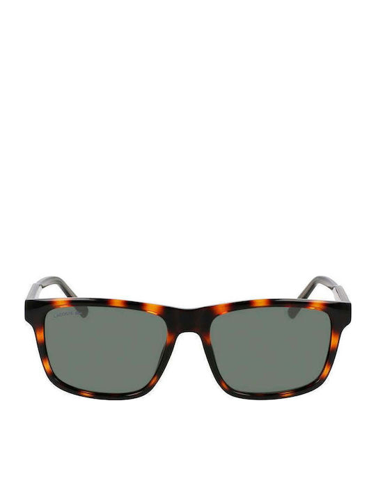 Lacoste Sunglasses Brown with Acetate Frame & Green Lens Lacoste Sunglasses Brown with Acetate Frame & Green Lens