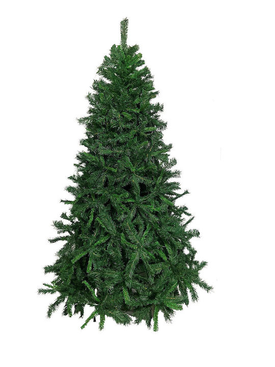 Δέντρο Tiffany Pine Colorado Δέντρο Tiffany Pine Colorado