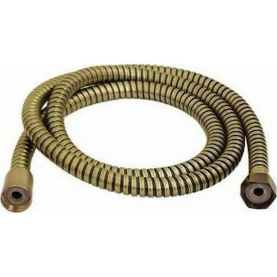 Handheld Showerhead with Hose
