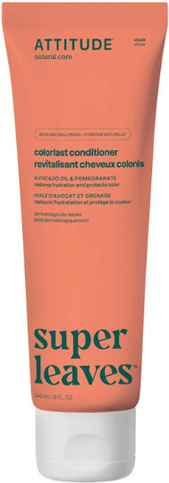 Attitude Conditioner Διατήρησης Χρώματος για Βαμμένα Μαλλιά 240ml