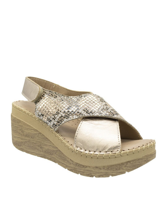 Anatomic Summer Women's Gold Platforms