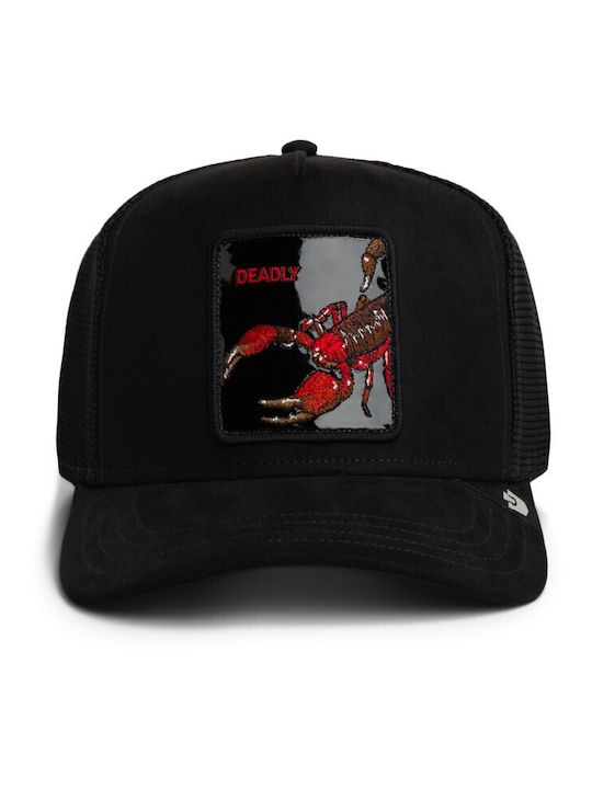 Sweat Kappe Jockey Schwarz Out Scorpion Skorpion Schwarz Goorin Bros