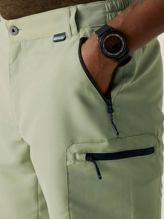 Herren Shorts Mint