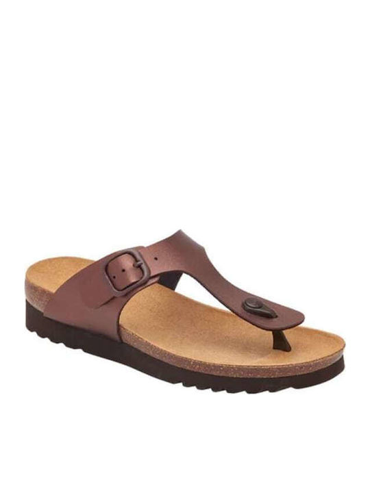 Scholl Scholl