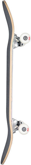 Globe Komplette Shortboard