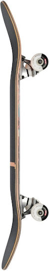 Globe Complete Shortboard Πορτοκαλί