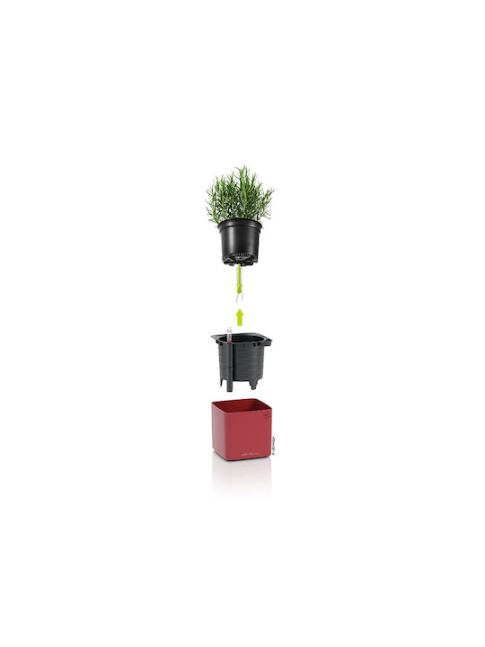 Lechuza Cube Premium Selbstbewässernder Blumentopf Scarlet Rot 14x14x14cm