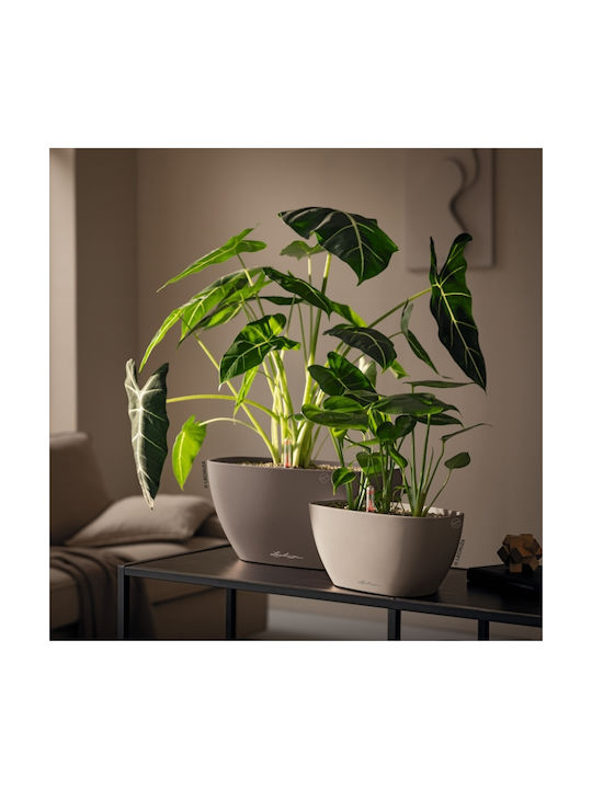 Lechuza Self-watering Flower Pot Slate 39x19x18cm