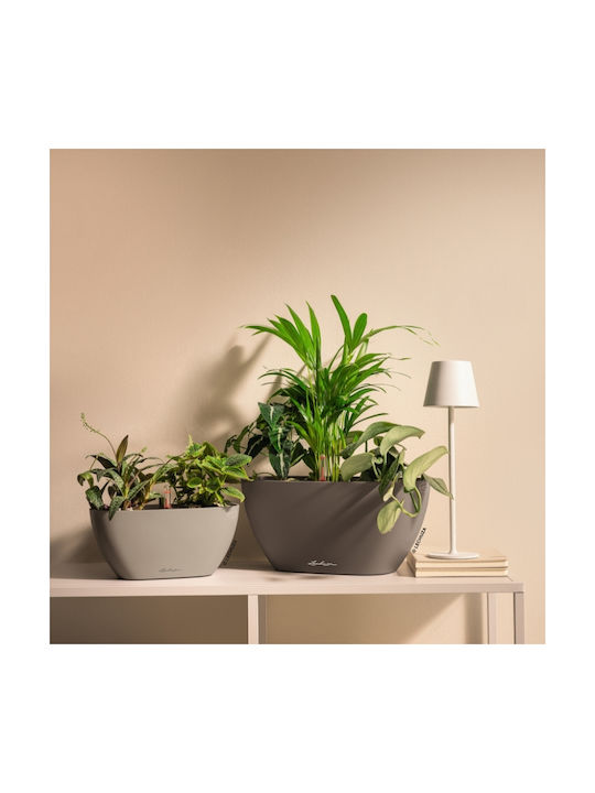 Lechuza Self-Watering Flower Pot Sand Brown 39x19x18cm