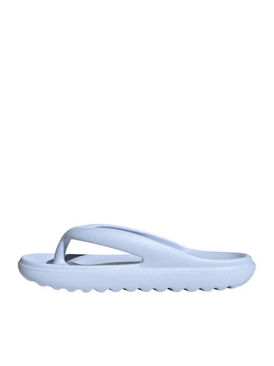 adidas adidas