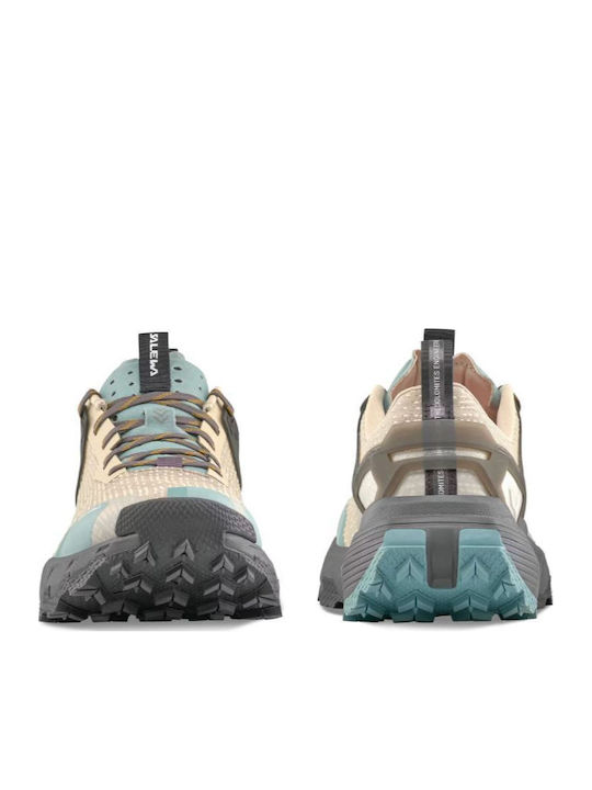 Salewa Pedroc 2 Men's Hiking Shoes Multicolour
