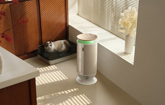 Mova P10 Luftreiniger 36W