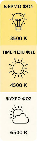 SteweHome Ceiling Light Lamsi Gold LED Double Direction Modern 40x90cm