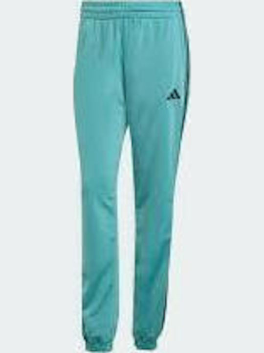 Damen Jogginghosen Türkis