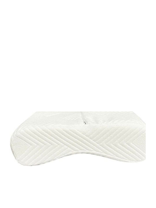 SteweHome Orthopedic Bed Pillow Made of Cotton Visco Antibacterial Comfortable Elegant Beige 40x60cm