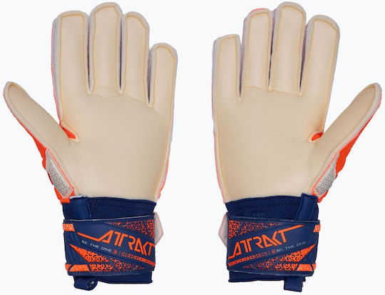 Reusch Attrakt Solid Adults Goalkeeper Gloves White
