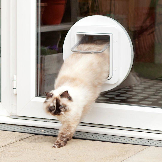 Trixie Sureflap Ușa Din Plastic Pentru Câini și Pisici 38x38 cm Alb