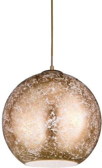 Wofi Fara Lustră Suspendată Auriu 30cm. Wofi Fara Lustră Suspendată Auriu 30cm.