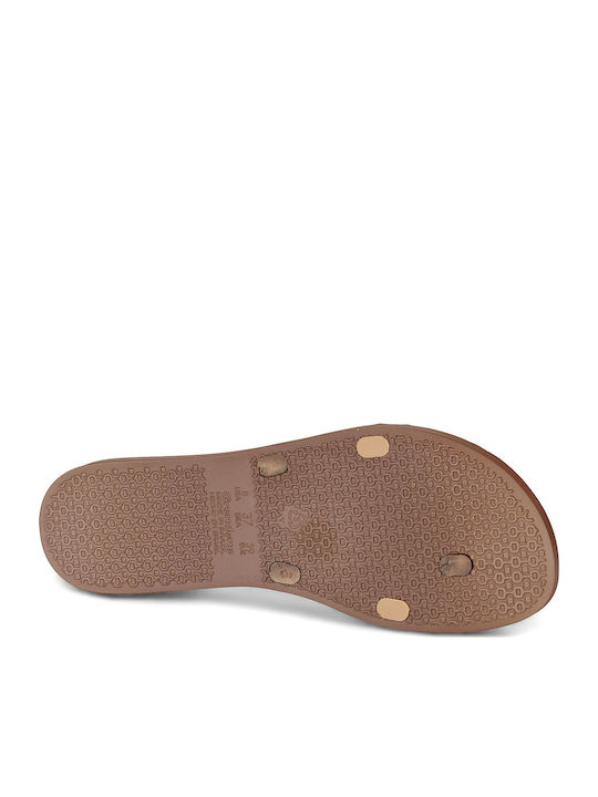 Kirei Chic Fem Flip Flops in Brown Colour