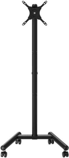 Sbox Mobile Mount Βάση Τηλεόρασης Δαπέδου έως 50" και 20kg Μαύρο