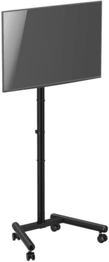 Sbox Mobile Mount Βάση Τηλεόρασης Δαπέδου έως 50" και 20kg Μαύρο