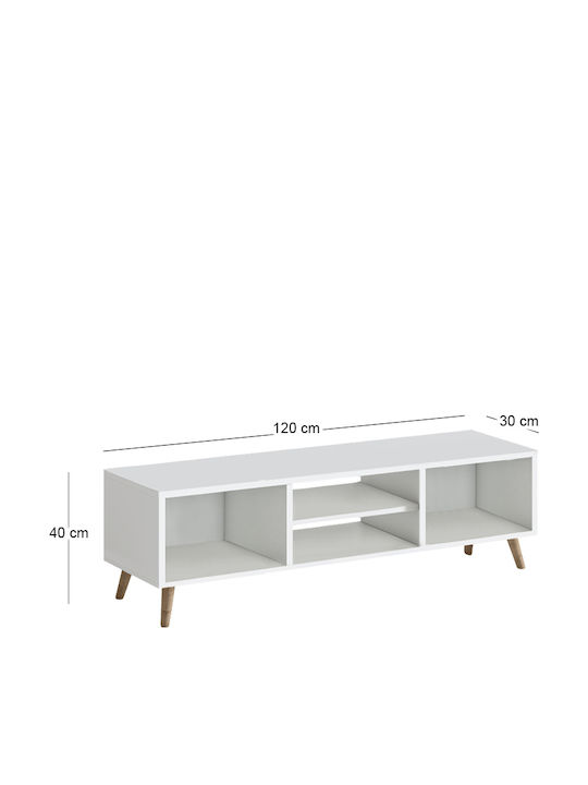 TV Stand Loren White L120xD30xH40cm