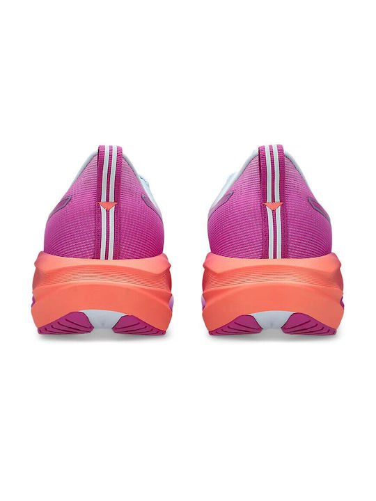 Novablast 5 Women's Sport Shoes Running Sunny Sizzle