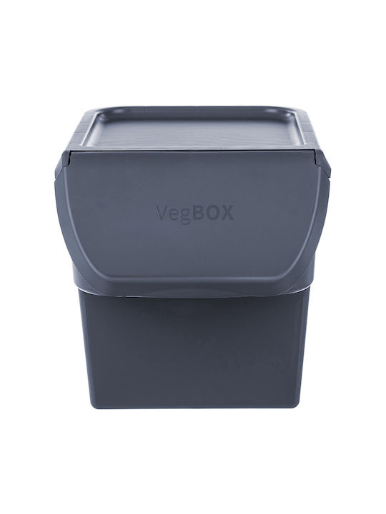 Kadax General Use Vase with Plastic Grey Lid 26.5x26x33cm 1 Pieces