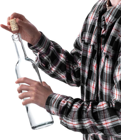 10 Pcs Glass Bottles Wine Liqueurs Wine Bottle 0.75l 750ml + Stoppers