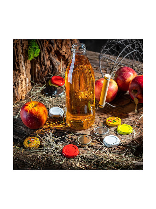 Kadax Glas Wasserflasche mit Schraubdeckel Transparent 1000ml