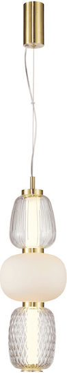 Eko Light LED Κρεμαστό Φωτιστικό Χρυσό Eko Light LED Κρεμαστό Φωτιστικό Χρυσό