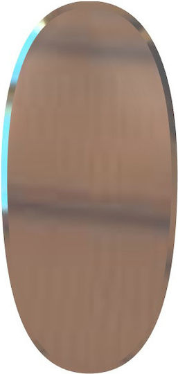 Casa Vogue Renoir70 Wall Mirror Full-Length Oval Bronze 150x70cm