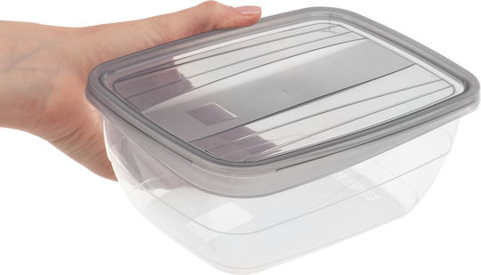 Curver Lunch Box Plastic Gray 1.3lt