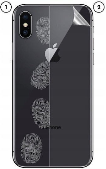 GrizzGlass Schutzfolie Für Handy-Rückseite Transparent