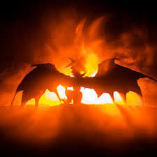 Fragrance Oil Dragons Blood