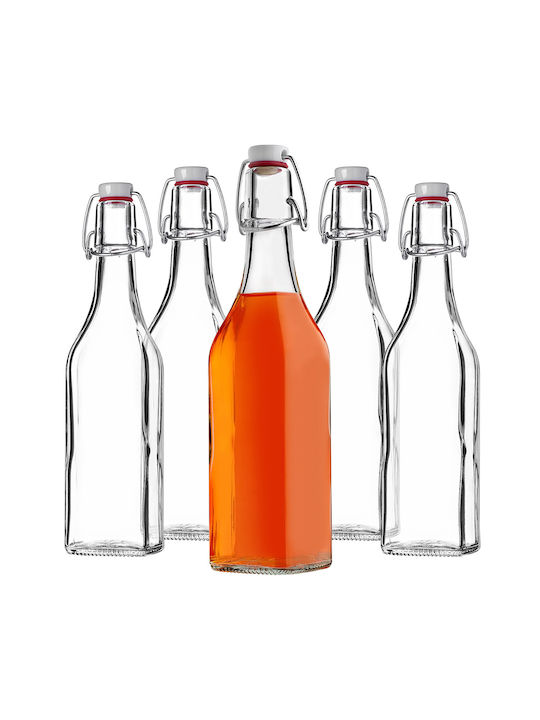 Kadax Glas Wasserflasche mit Clip Transparent 500ml 5 Stücke