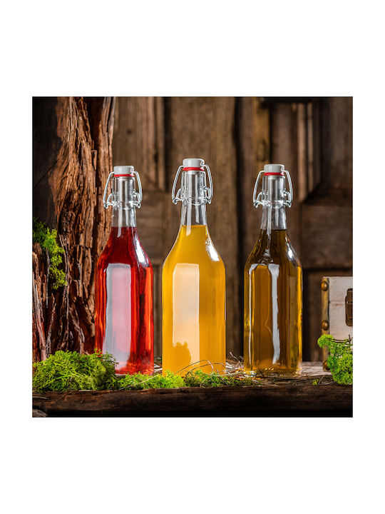 Kadax Glas Wasserflasche mit Clip Transparent 500ml 5 Stücke