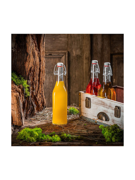 Kadax Glas Wasserflasche mit Clip Transparent 500ml 5 Stücke