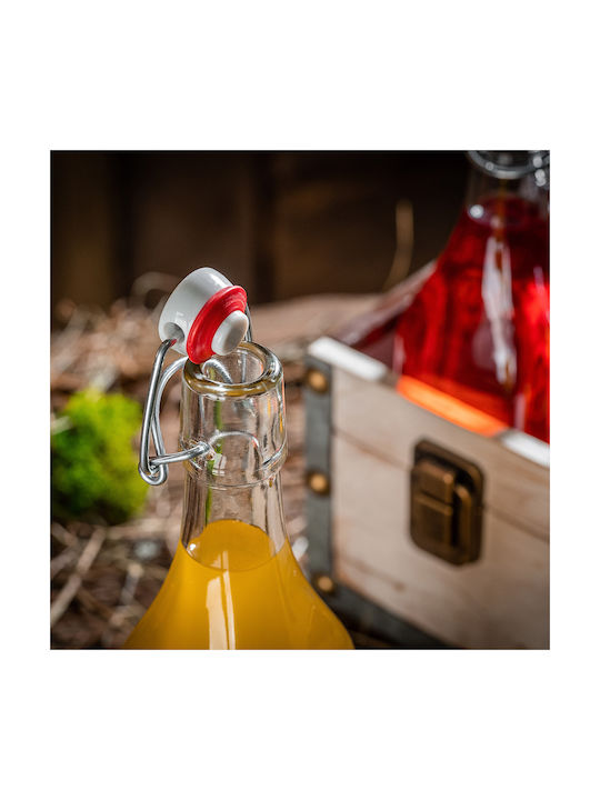 Kadax Glas Wasserflasche mit Clip Transparent 500ml 5 Stücke