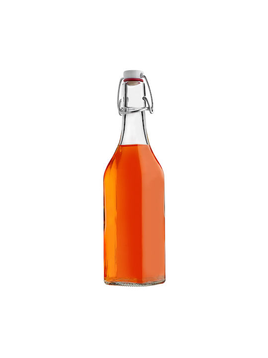 Kadax Glas Wasserflasche mit Clip Transparent 500ml 5 Stücke