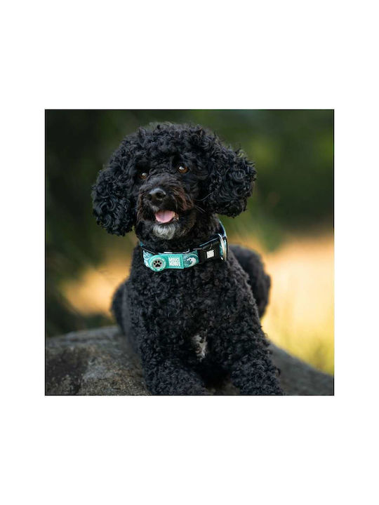 Max & Molly Smart Id Hundehalsband – Storm Mittel 2,0cm X 34-55cm
