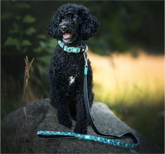 Max & Molly Dog Leash Lead Strap In Green Colour