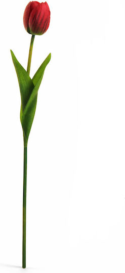 Τουλιπα Κοκκινη 54cm 0x0x54cm Μονόχρωμο Evergreens