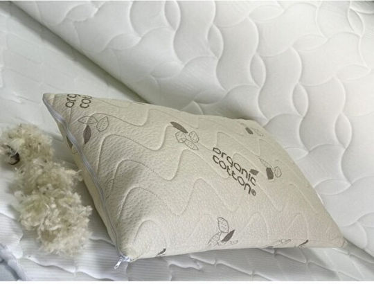 Stewehome Kopfkissen Maxi Organic Einzeln Aus Wolle In Braun Farbgebung 50x70cm