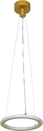 Keskor Pendant Light Gold 21x21x80cm