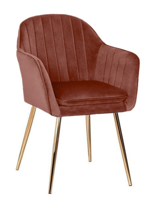 Glenda Dining Room Velvet Chair Rotten Apple 59x56x86cm 2pcs