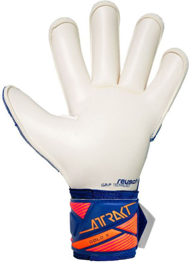 Reusch Goalkeeper Gloves Adults Blue