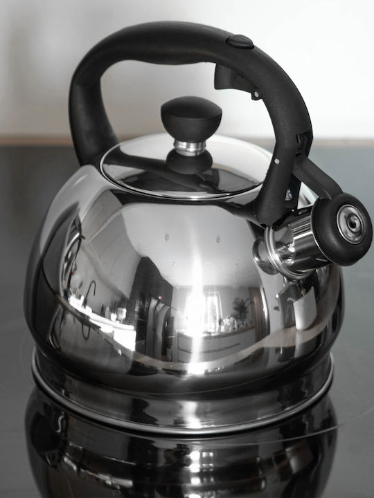 Kadax Kadax Rostfreier Stahl Teekessel Silber 1800ml